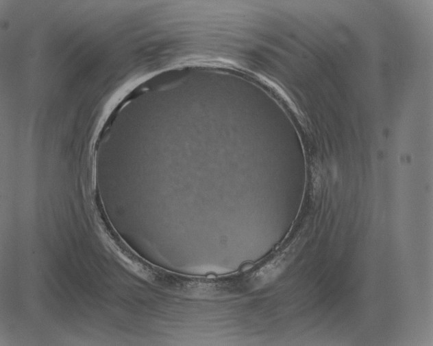 X0000084531371200703091617