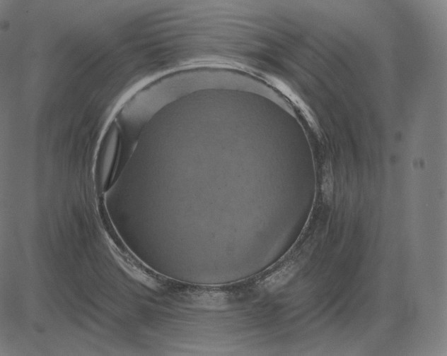 X0000084531372200703091617