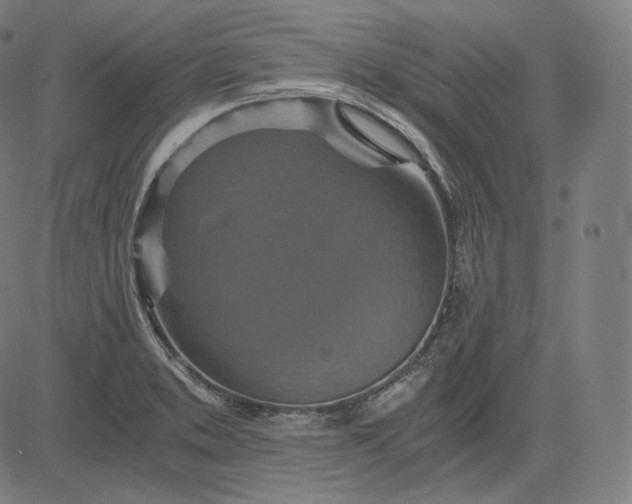 X0000084531373200703091617