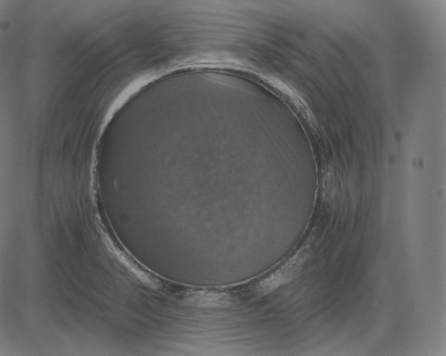 X0000084531374200703091617