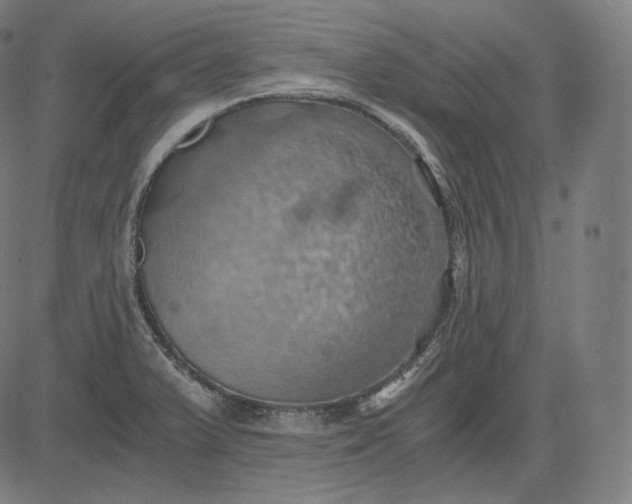 X0000084531375200703091617