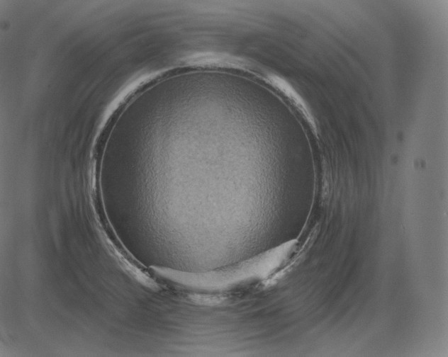 X0000084531376200703091617