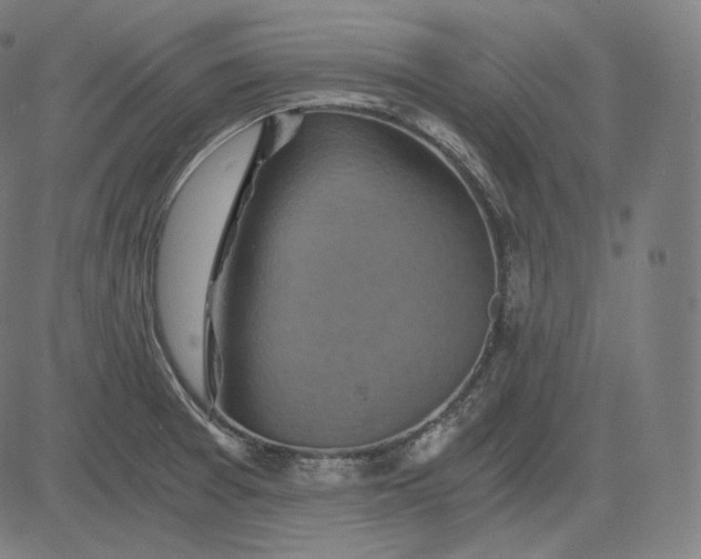 X0000084531377200703091617