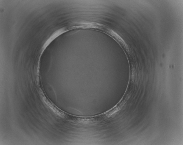 X0000084531378200703091617