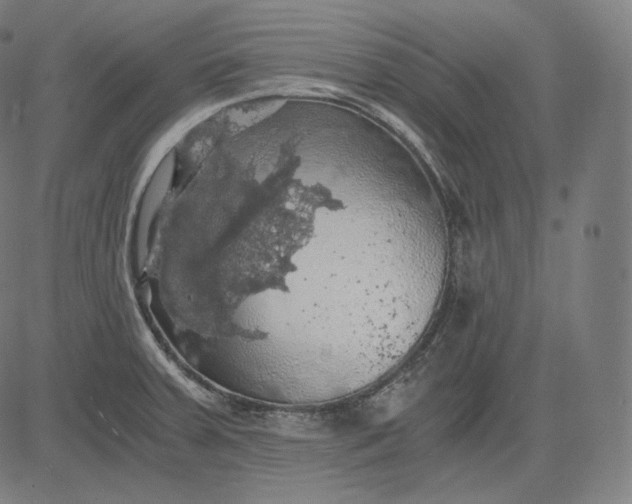 X0000084531379200703091617