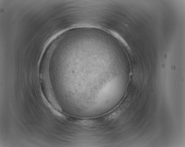 X0000084531380200703091617