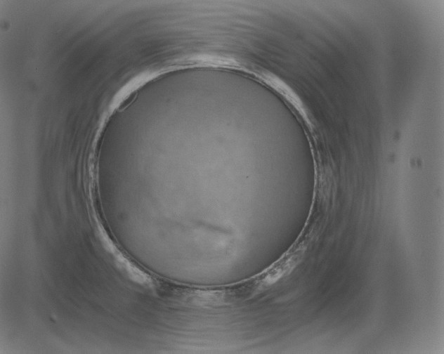 X0000084531381200703091617