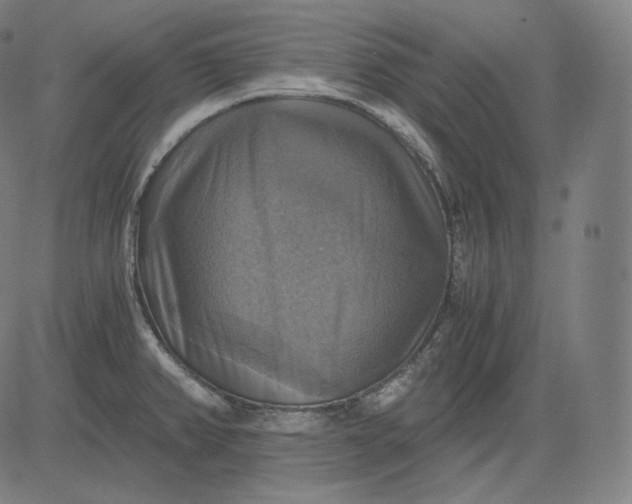 X0000084531382200703091617