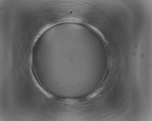 X0000084531383200703091617