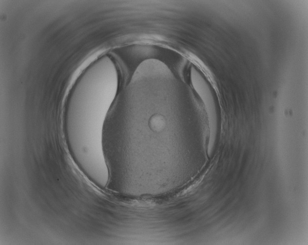 X0000084531384200703091617