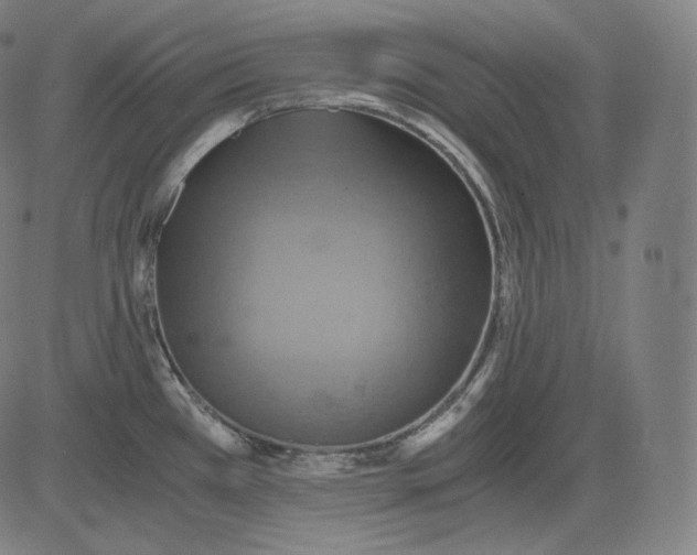 X0000084531385200703091617