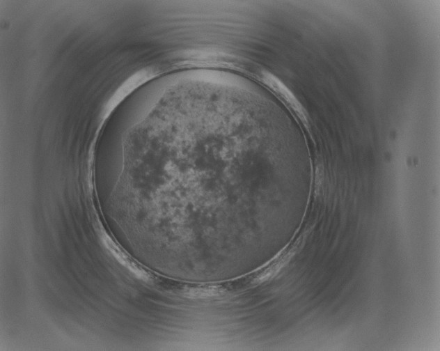 X0000084531386200703091617