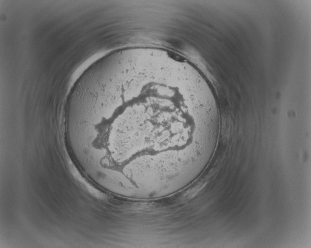 X0000084531387200703091617