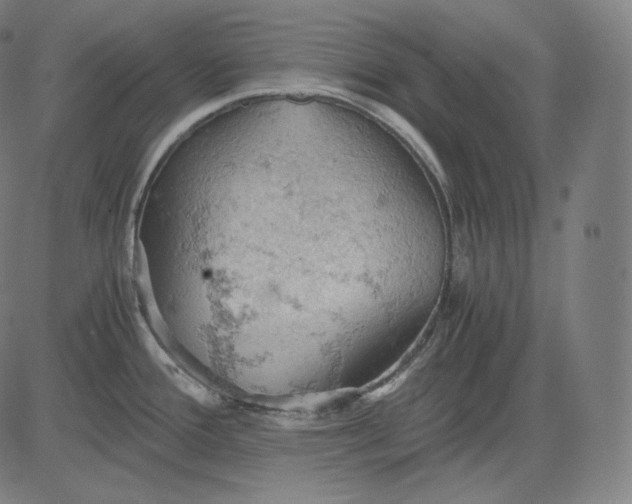 X0000084531388200703091617