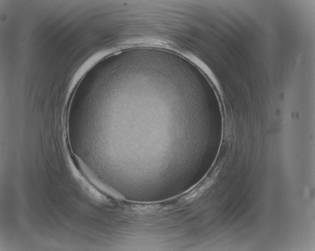 X0000084531389200703091617