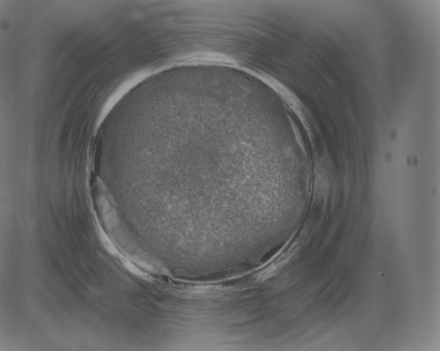 X0000084531390200703091617