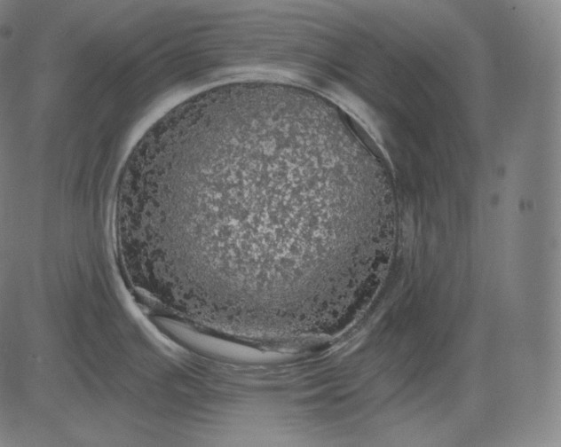 X0000084531391200703091617