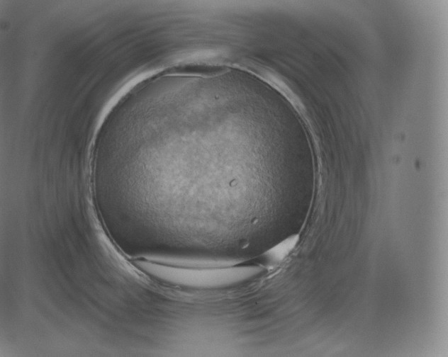 X0000084531392200703091617