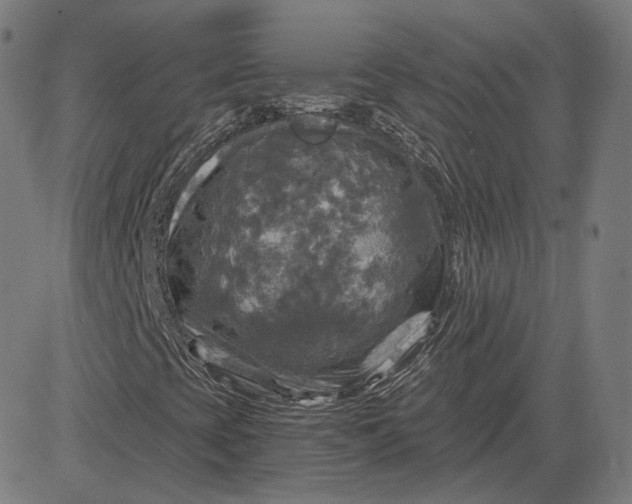 X0000084531393200703091616