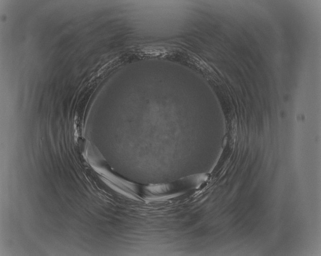 X0000084531394200703091616