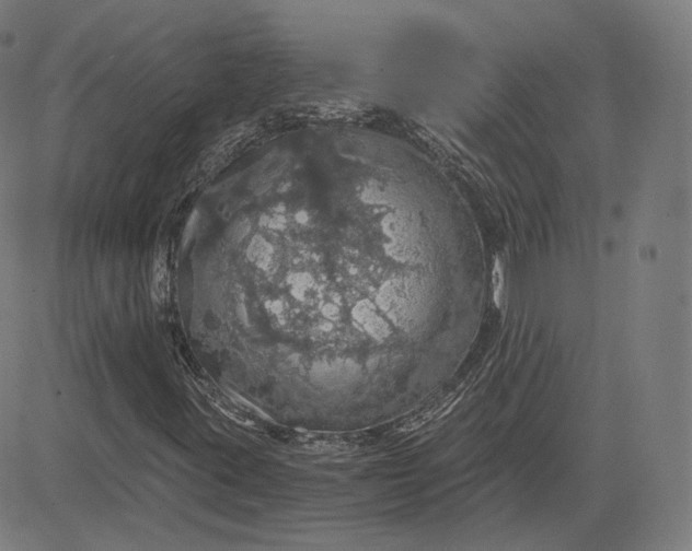 X0000084531395200703091616