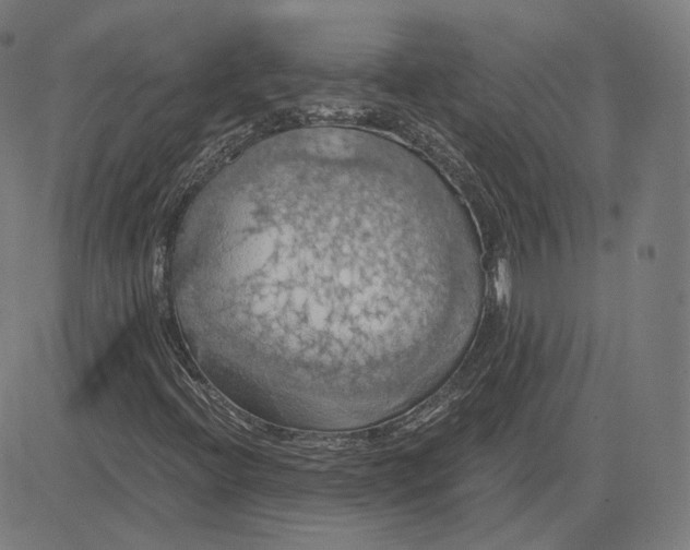 X0000084531396200703091616