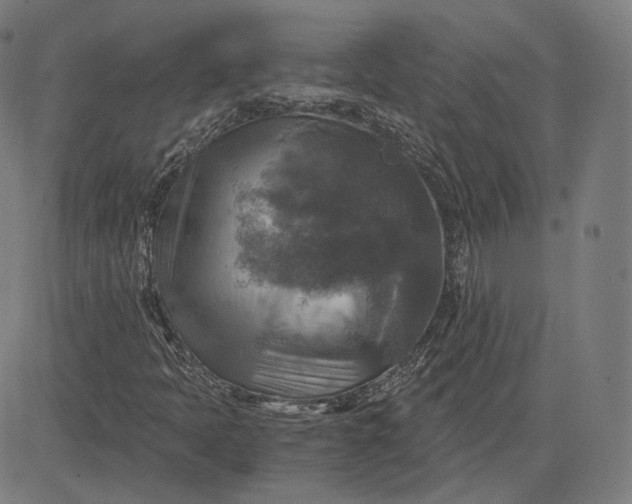 X0000084531397200703091616