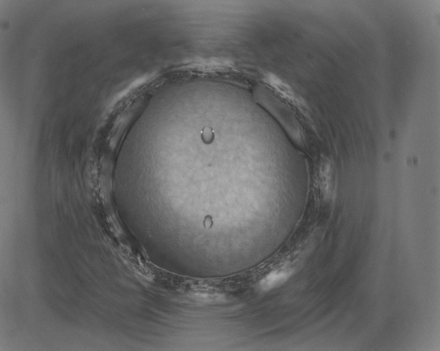 X0000084531398200703091616