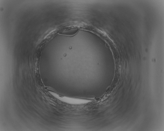 X0000084531399200703091616