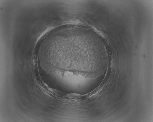 X0000084531400200703091616