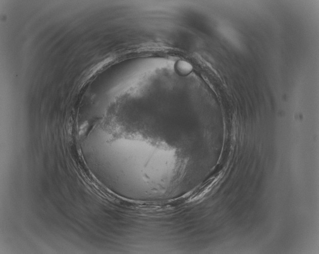 X0000084531401200703091616