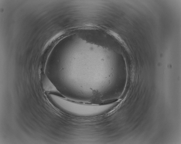 X0000084531402200703091616