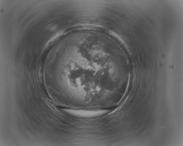 X0000084531403200703091616