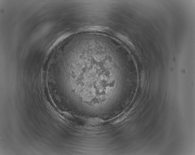 X0000084531404200703091616