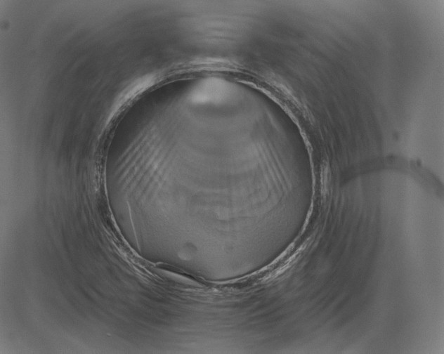 X0000084531405200703091616