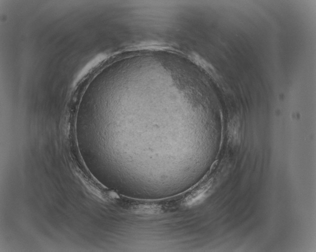 X0000084531406200703091616