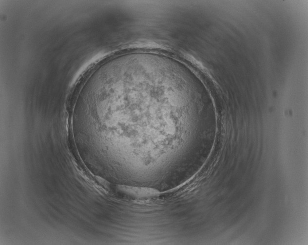 X0000084531408200703091616