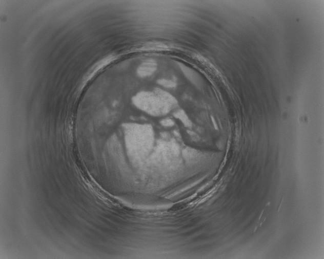 X0000084531409200703091616