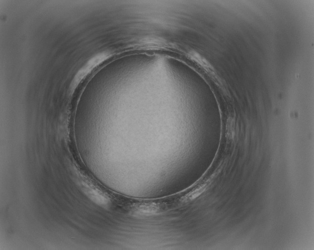 X0000084531410200703091616