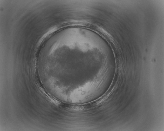 X0000084531411200703091616