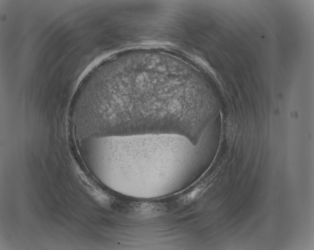 X0000084531412200703091616