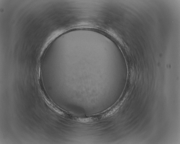 X0000084531413200703091616