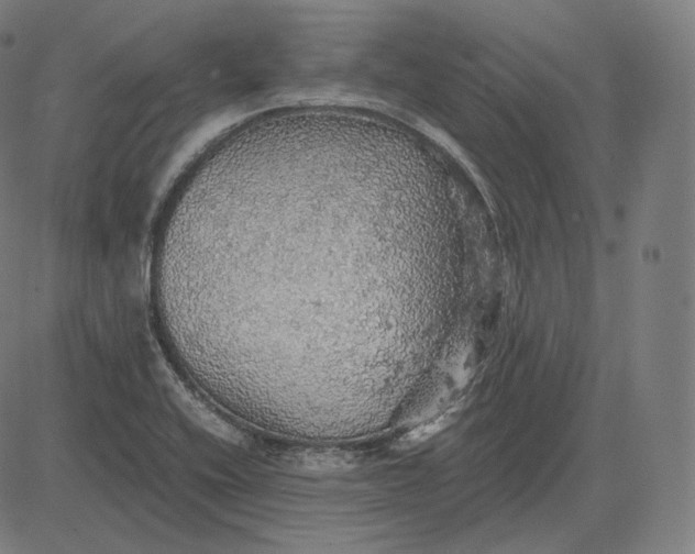 X0000084531416200703091616