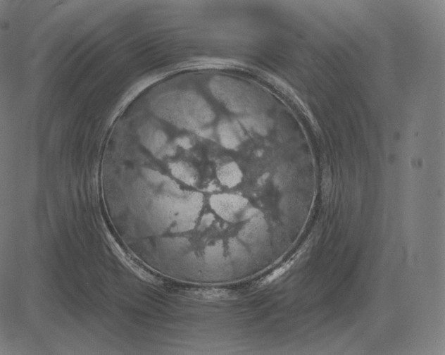 X0000084531417200703091616