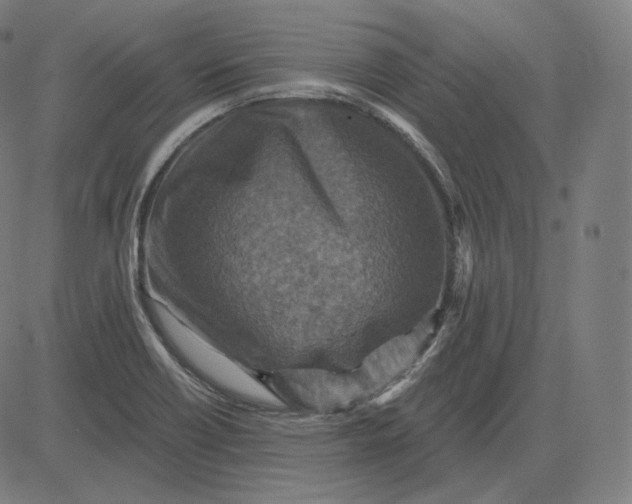 X0000084531418200703091616