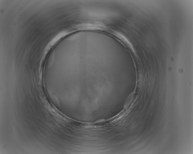 X0000084531419200703091616