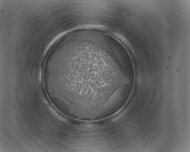 X0000084531420200703091616