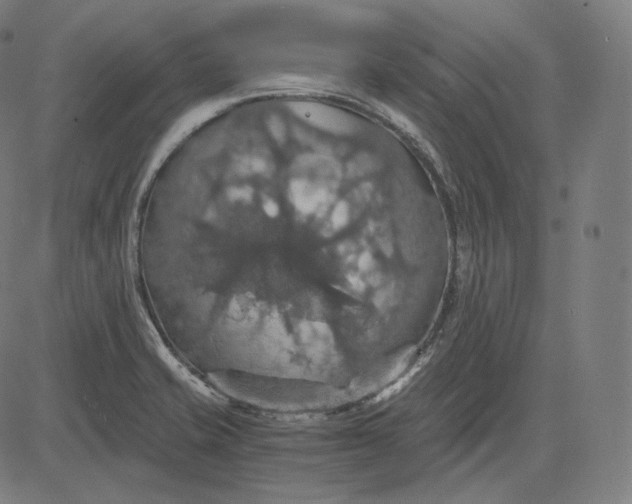 X0000084531421200703091616