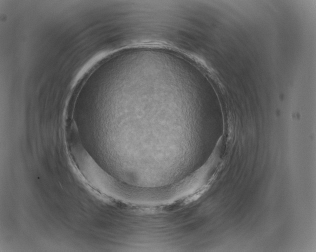 X0000084531422200703091616