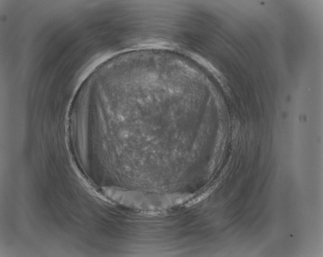 X0000084531423200703091616